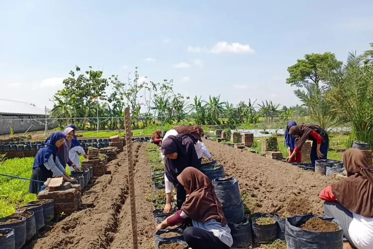 Belajar Sambil Berkebun: Mengajarkan Sains dan Tanggung Jawab